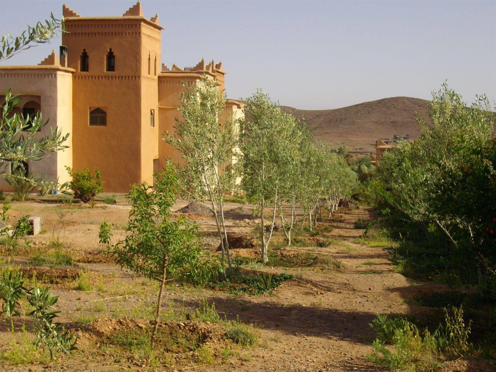 Kasbah Zitoune Tajda Extérieur photo