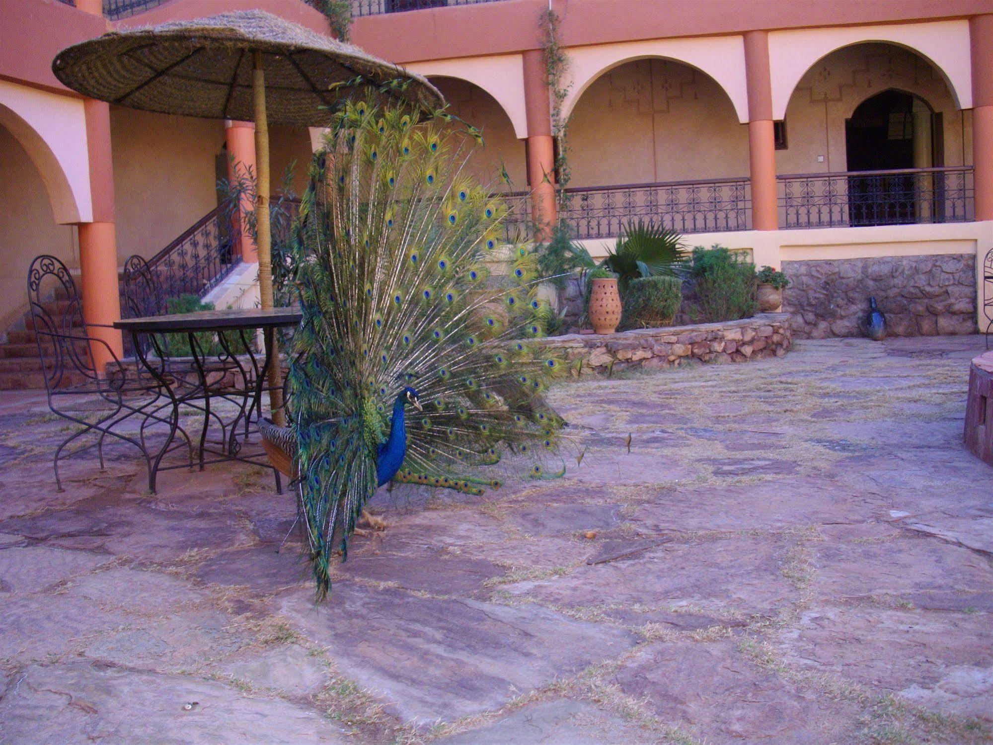 Kasbah Zitoune Tajda Extérieur photo
